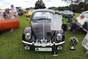 BertieBeetle23rdJune2024 (3)