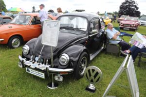 BertieBeetle23rdJune2024 (4)