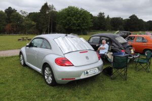 BertieBeetle23rdJune2024 (6)