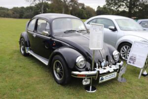 BertieBeetle24thSept2023 (1)