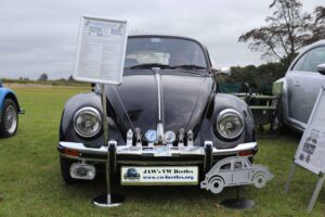 BertieBeetle24thSept2023 (3)
