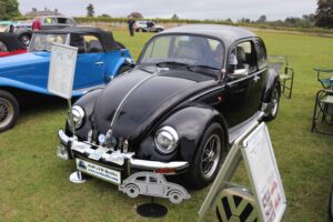 BertieBeetle24thSept2023 (4)
