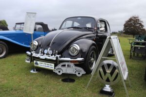 BertieBeetle24thSept2023 (5)