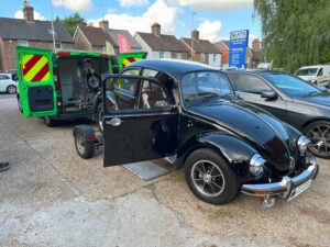 BertieBeetle25thMay2024 (1)