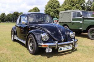 BertieBeetle7thJuly2024 (2)