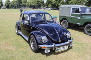 BertieBeetle7thJuly2024 (3)