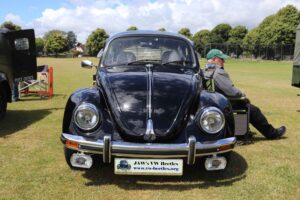 BertieBeetle7thJuly2024 (4)