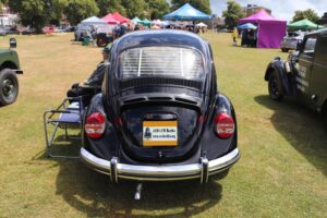 BertieBeetle7thJuly2024 (5)