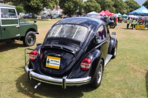 BertieBeetle7thJuly2024 (6)