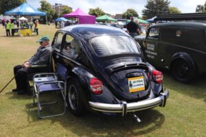 BertieBeetle7thJuly2024 (7)