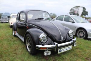 BertieBeetle7thSept2024 (1)