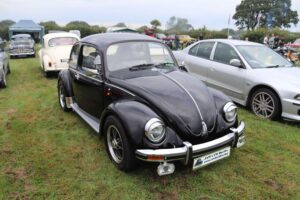 BertieBeetle7thSept2024 (2)