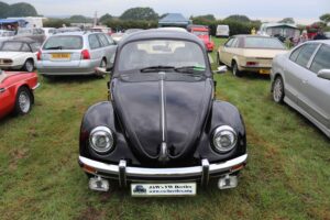 BertieBeetle7thSept2024 (3)