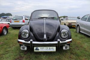 BertieBeetle7thSept2024 (4)