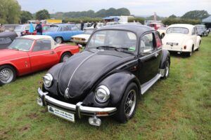 BertieBeetle7thSept2024 (5)