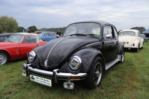 BertieBeetle7thSept2024 (6)