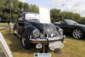 BertieBeetle8thAug2024 (1)