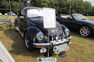 BertieBeetle8thAug2024 (2)