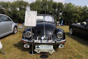 BertieBeetle8thAug2024 (3)
