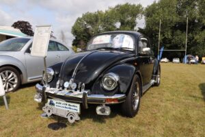 BertieBeetle8thAug2024 (4)