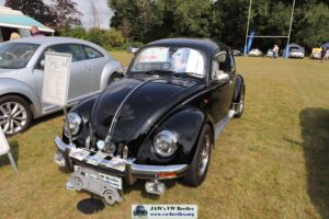 BertieBeetle8thAug2024 (5)