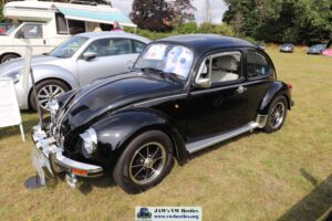 BertieBeetle8thAug2024 (6)