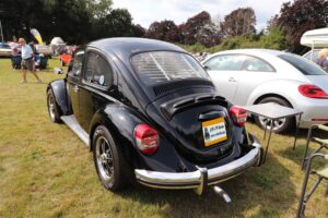 BertieBeetle8thAug2024 (7)