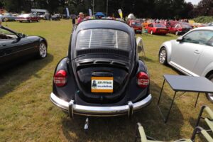 BertieBeetle8thAug2024 (8)