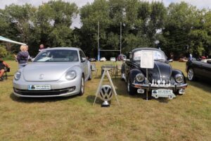 BertieBeetle8thAug2024 (9)