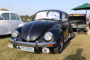 BertieBeetle9thSept2023 (2)