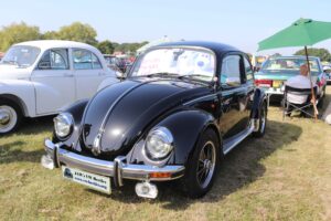 BertieBeetle9thSept2023 (3)