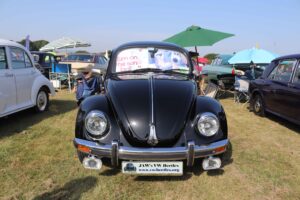 BertieBeetle9thSept2023 (4)