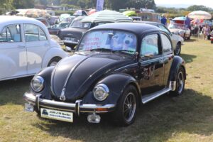 BertieBeetle9thSept2023 (5)
