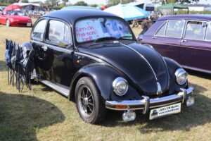 BertieBeetle9thSept2023 (6)