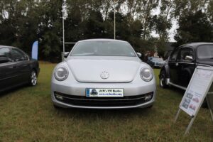 Gertie18thAug2019 (2)