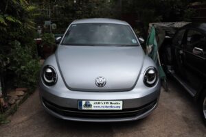 Gertie18thMay2019 (2)