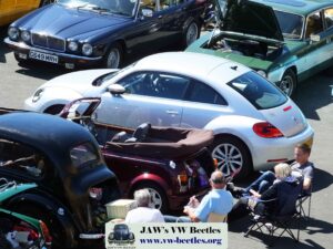 Gertie21stMay2017 (8)