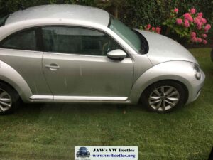 Gertie5thAug2017 (1)