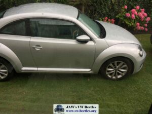Gertie5thAug2017 (2)