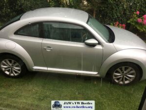 Gertie5thAug2017 (4)