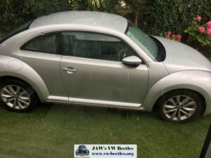 Gertie5thAug2017 (5)