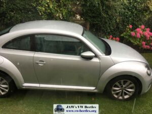Gertie5thAug2017 (6)