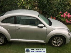 Gertie5thAug2017 (7)