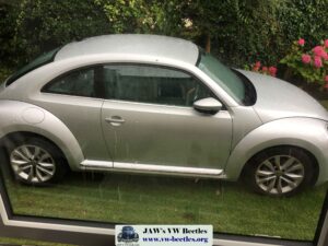 Gertie5thAug2017 (8)