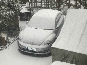 GertieJan20121 (2)