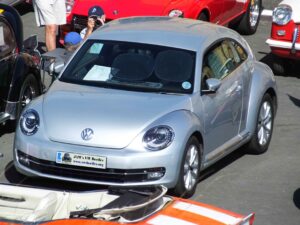 GertieSept2018 (3)