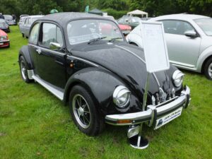 Bertie12thJune2016 (1)