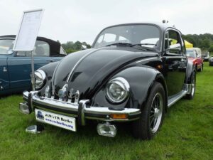 Bertie12thJune2016 (10)