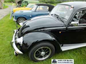 Bertie12thJune2016 (11)