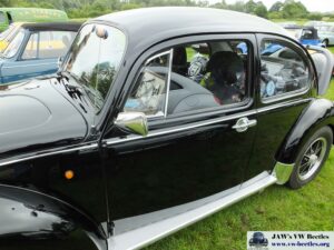 Bertie12thJune2016 (12)